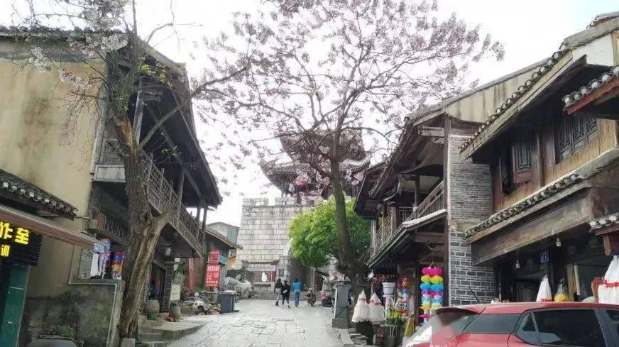 虫虫助手下载